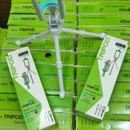Tipord